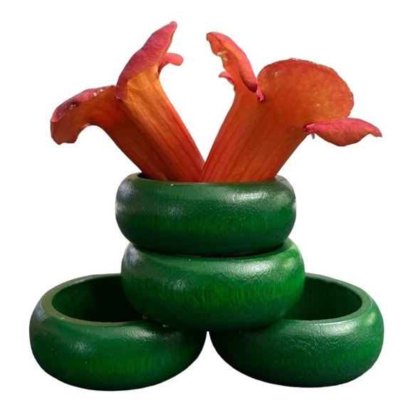 Wood Napkin Rings Set of 4, Forest Green Round Napkin Rings, Thanksgiving - Picture 1 of 7